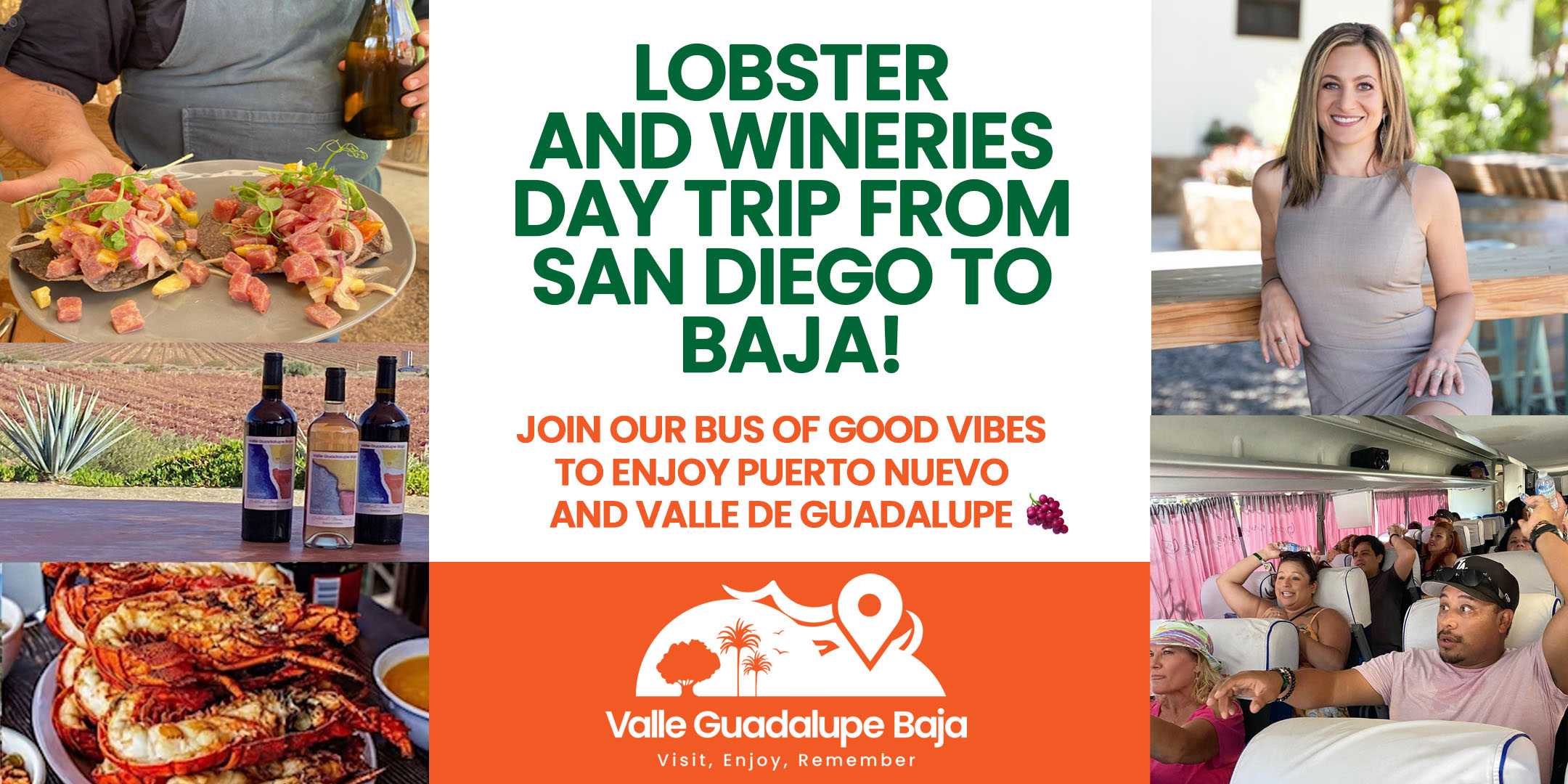 Classic Valle Guadalupe Day Trip